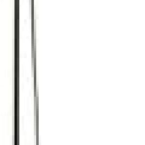 PFIFF Longierpeitsche – Schwarz – 200 cm
