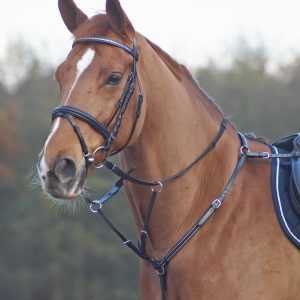 Vorderzeug Basic
