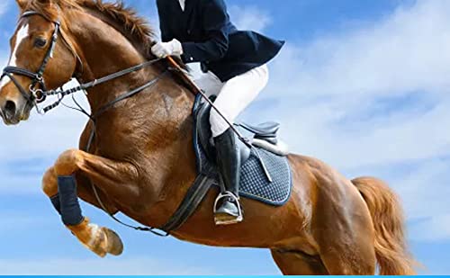 AICTIMO Reithandschuh-Professional Tragbar, Reithandschuhe Atmungsaktiv und Bequem Unisex Schwarz – Bild 3