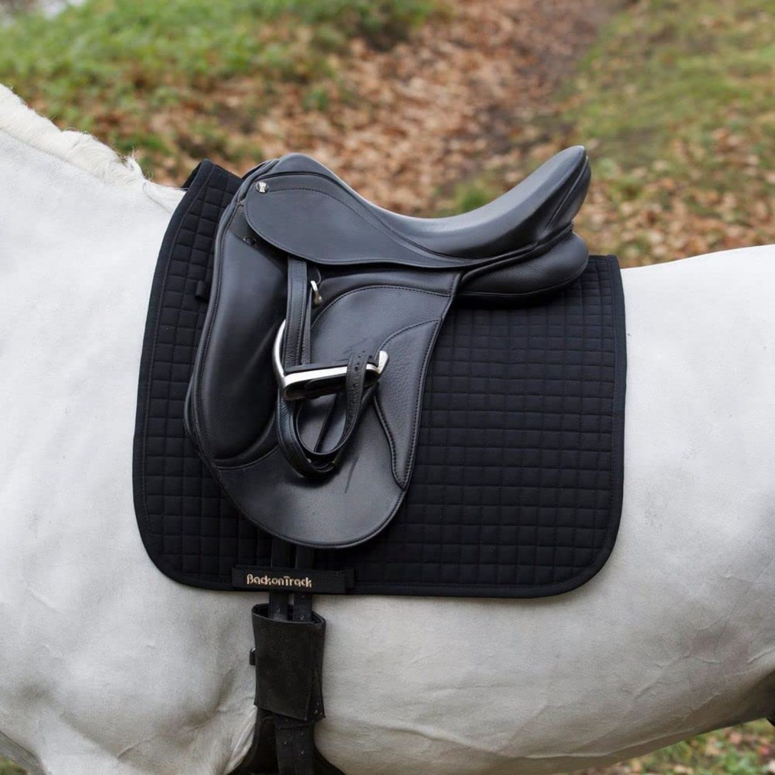 Wie Viele Pferdestärken Hat Ein Pferd pferd-reiter-pony.de