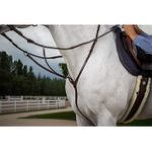 Dyon Hunter Collection Martingal