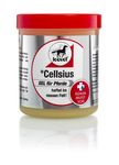 Leovet Cellsius Gel 600 ml