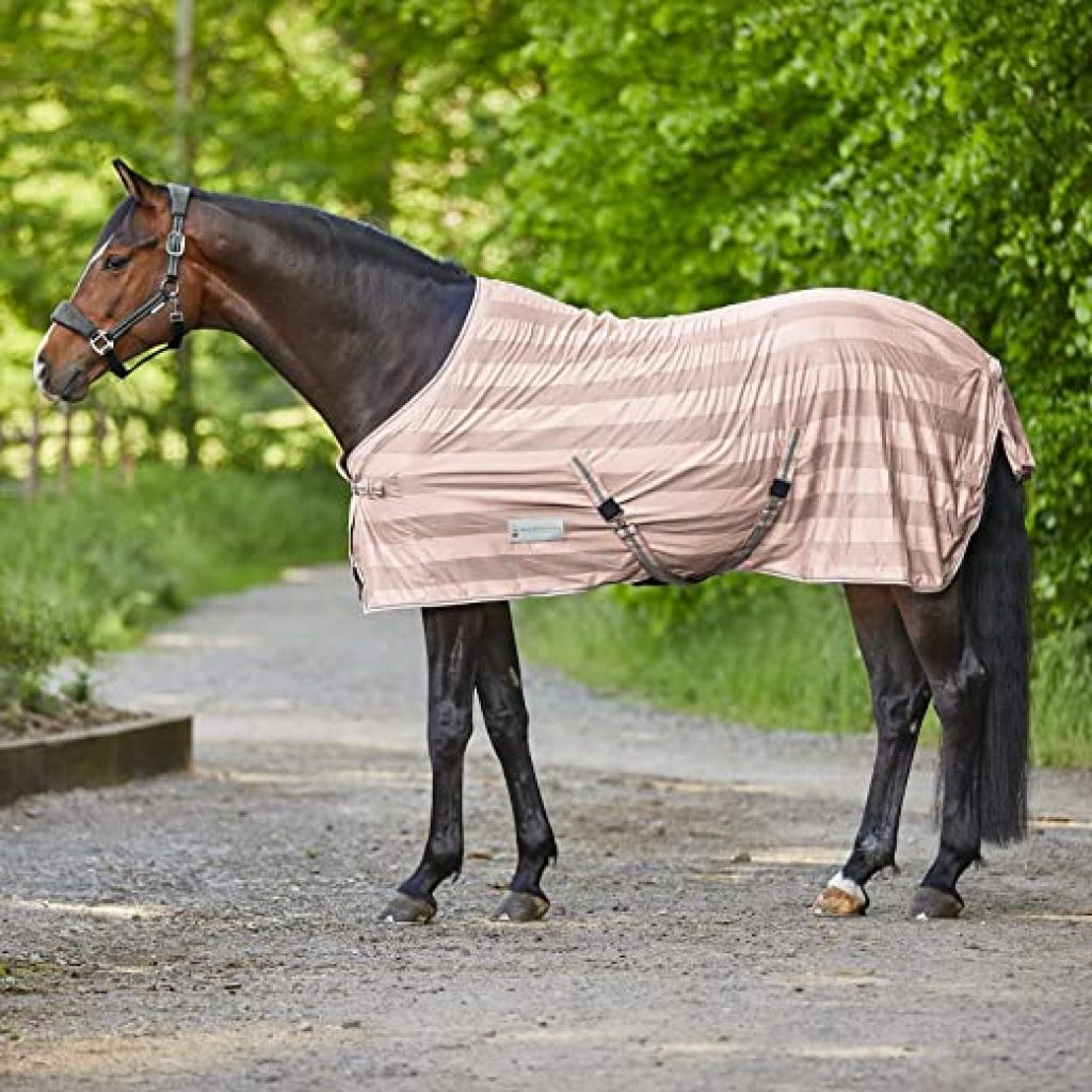 Produktbild von Discount Pet Reithose Damen - Schwarz Hell Violett Dehnbare Jods Für Pferdereiten