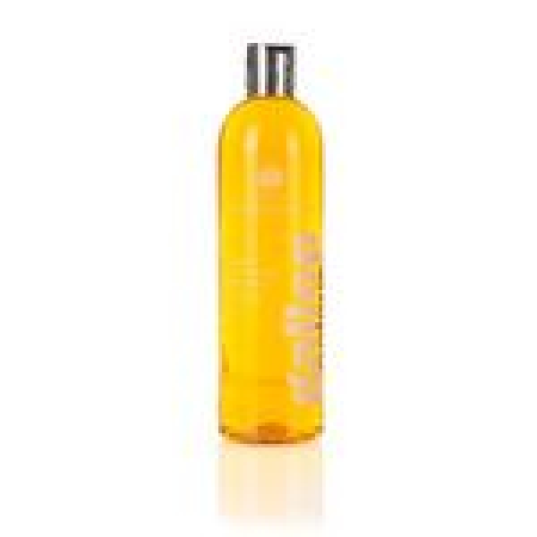 Carr & Day & Martin Gallop Farbglanz Shampoo Fuchs+Palominos 500 ml