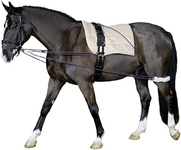Cheval Longierhilfe Bodenarbeit Ausbildung Longiersystem Warmblut Longier-und Trainingssystem Longieren Hilfszügel