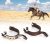 Cikonielf Pferde Sporen Pferde Reitsporen Western Retro Cowboy Schnitzsporen Sporen Set für Damen und Herren Reitpferdetraining