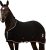 EQUILYX® Abschwitzdecke Pferd mit Kreuzgurten [perfekte Passform] Fleecedecke Stalldecke Transportdecke wärmend feuchtigkeitsabsorbierend…