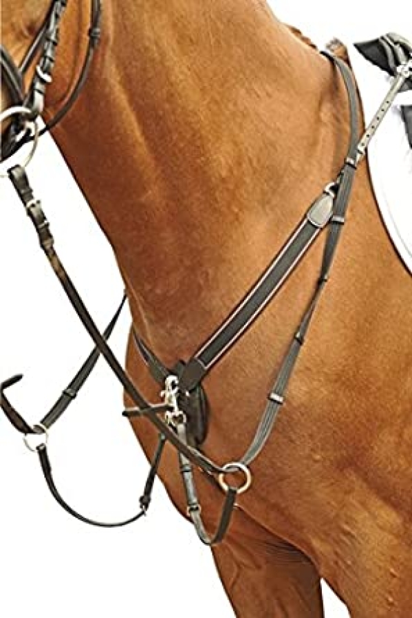HKM Vorderzeug mit Martingal und breitem Gummi, schwarz, Pony