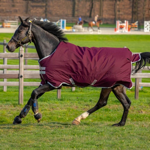 Horseware Amigo Hero Ripstop 50g Weichen Teppich 125cm Fig/Silver
