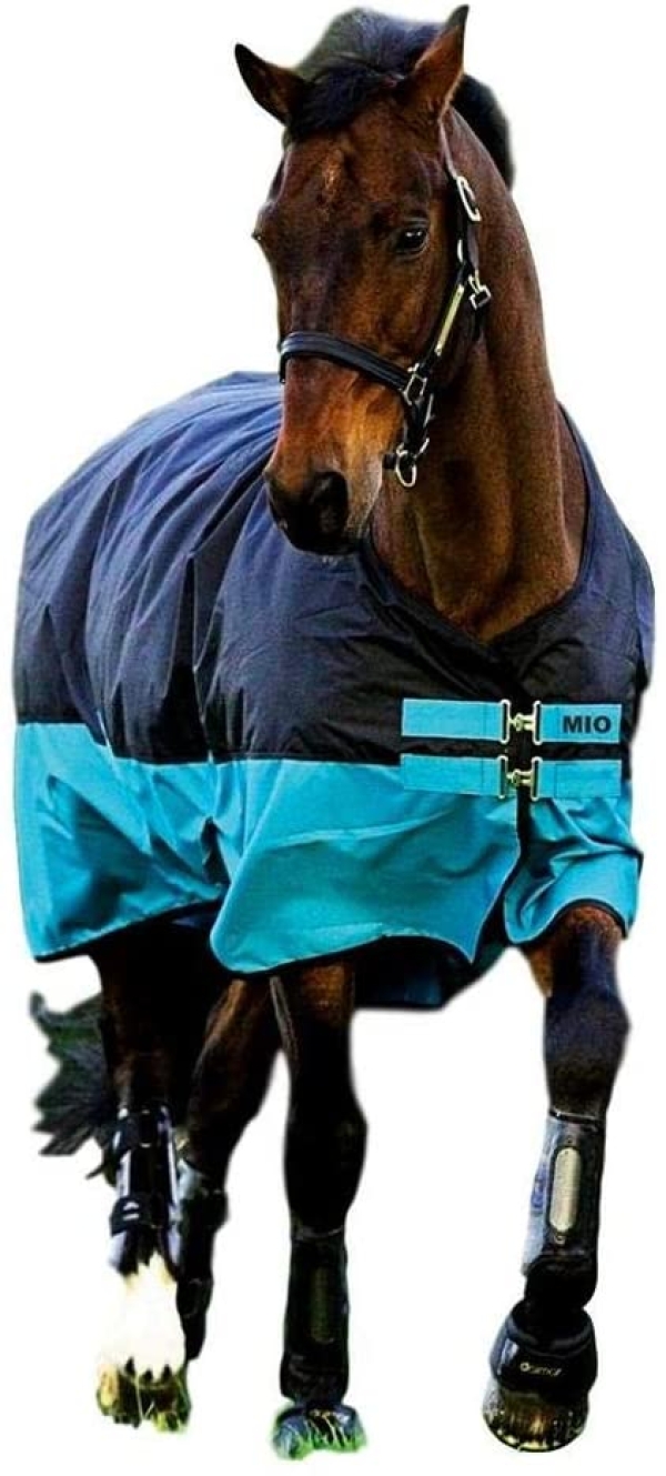 Horseware Amigo Mio Turnout medium black turquoise Weidedecke Winterdecke
