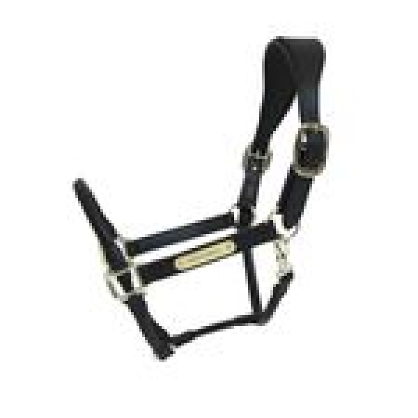 Kentucky Horsewear Halfter Anatomic Lederimitat