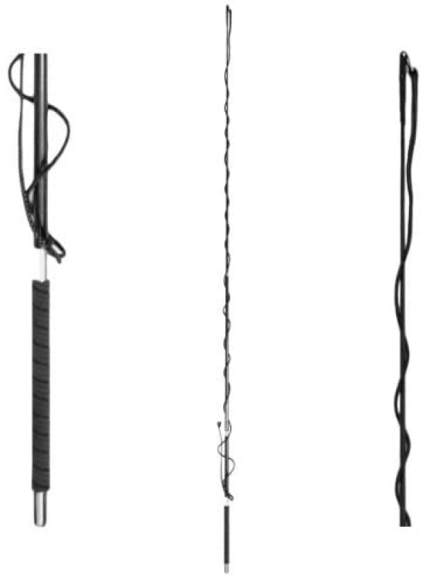 Waldhausen Teleskop Longierpeitsche Karbon/Fiberglas, schwarz, 200 cm